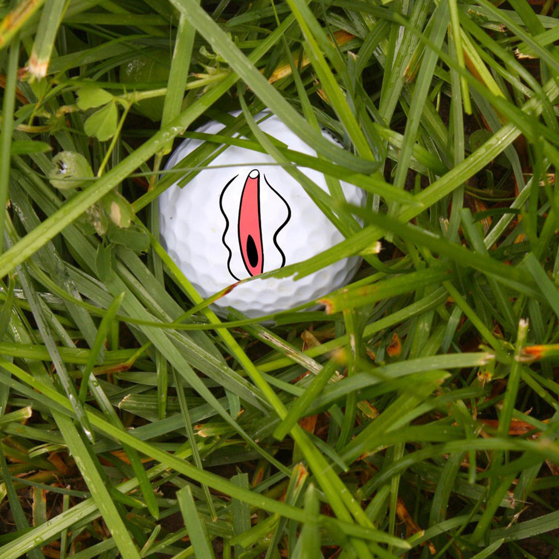 You Are My Hole In One Printed Golf Balls,Valentines Golf Gift, Funny Golf Ball, Cool Golf Gifts