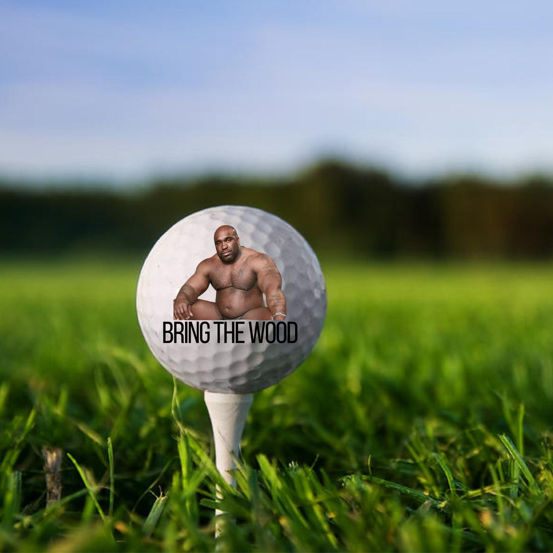 Bring The Wood Golf Balls, Funny Golf Balls, Gift For Golfer